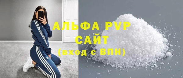 индика Нестеровская