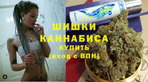 PSILOCYBIN Киренск