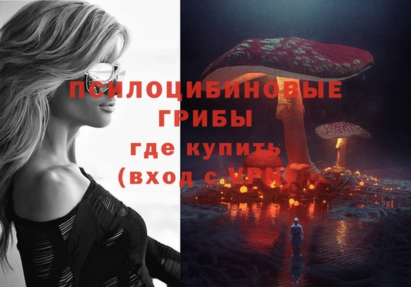 PSILOCYBIN Киренск