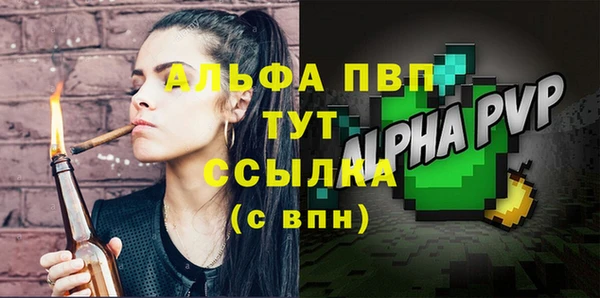 индика Калининец