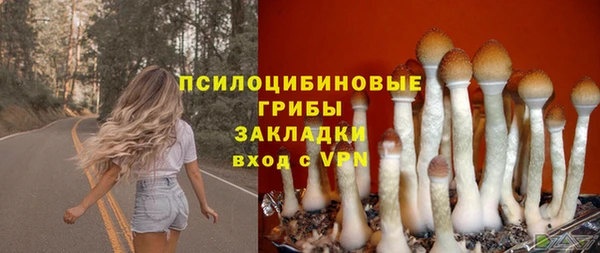PSILOCYBIN Карталы