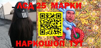 индика Гусев
