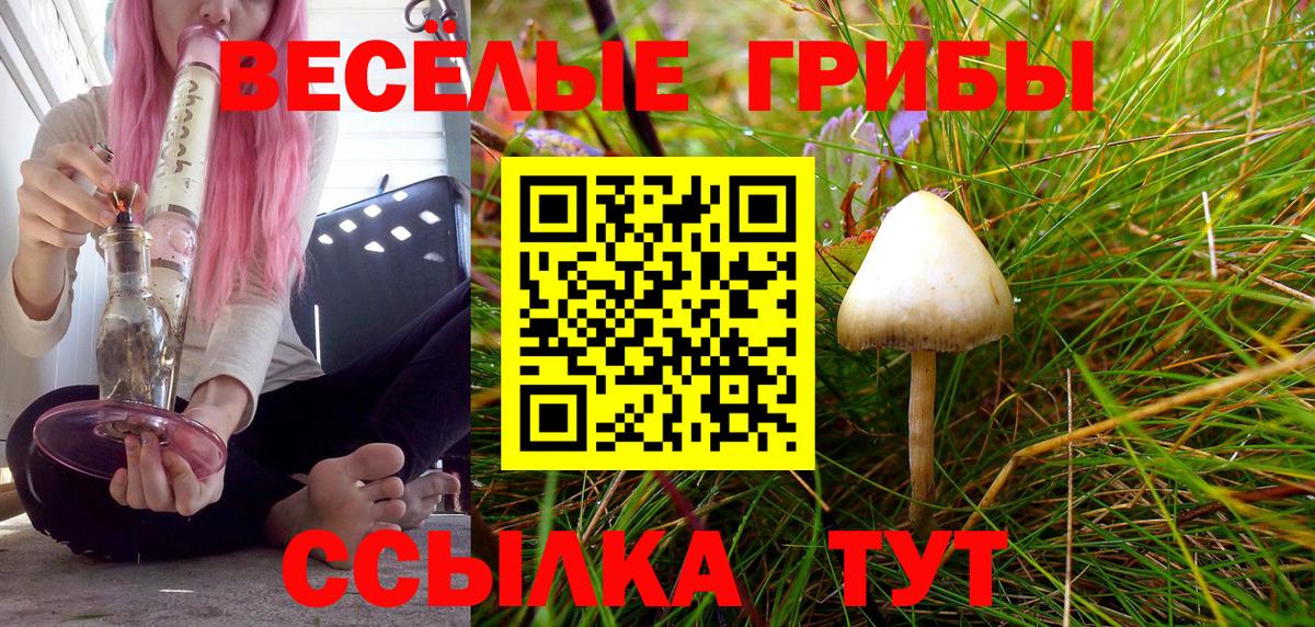 магазин  наркотиков  Вход с VPN  Домодедово  Псилоцибиновые грибы мицелий 